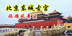小骚逼真骚中国北京-东城古宫旅游风景区